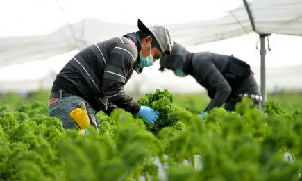 Правилата за работа в Германия за сезонните работници