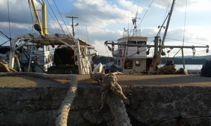 Великобритания губи по 64 млн. лири на година заради Брекзит