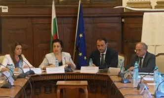 Запазват се схемите за обвързана подкрепа в сектор Плодове и зеленчуци