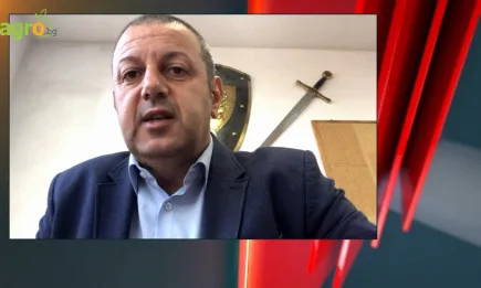 Атанас Урджанов, председател на Асоциацията на месопреработвателите: В момента цените на българското и европейското свинско са равни