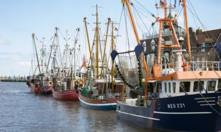 ЕС, Великобритания и Норвегия се споразумяха за улова през 2024 г.