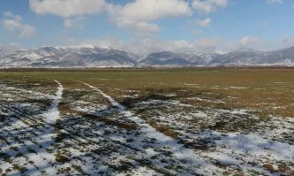 ДФ Земеделие преведе близо 635 млн. лева по СЕПП за Кампания 2019