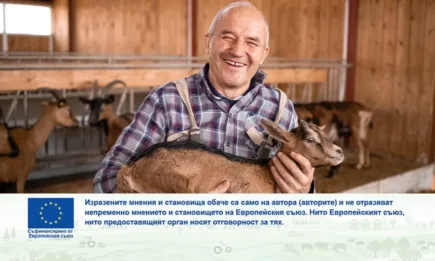 Какви интервенции предвижда стратегическият план за малките стопани