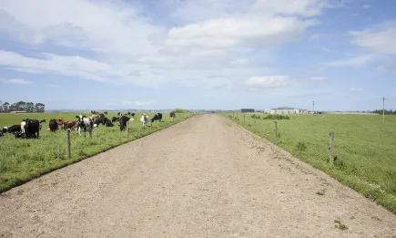 ОСП: Реформата се бави, ЕП ще гласува през ноември