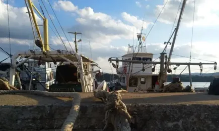 33 проекта на местни инициативни рибарски групи ще бъдат финансирани по ПМДРА 2021 – 2027 г.