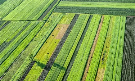 Какви са очакванията на Европейската комисия за агросектора?