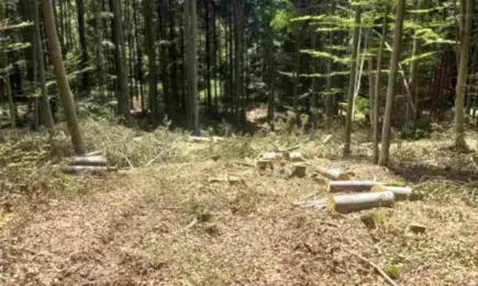 Повече от 600 проверки на територията на РДГ – София през изминалата седмица