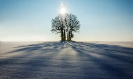 Критични минимални температури за неукрепналите есенници не се прогнозират