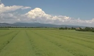 По-високите добиви от хибридите на Кортева ще компенсират ниските изкупни цени на земеделската продукция