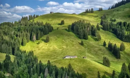 20% от площите в Швейцария са био