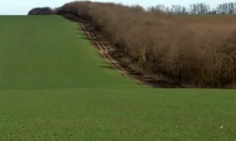 Вибранс Дуо – иновацията на Синджента в обеззаразяването на семена от житни култури