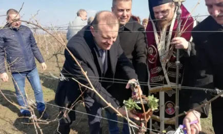 Заместник-министър Джиков: Държавата ще успее в обозримо бъдеще да върне българското вино на световните пазари
