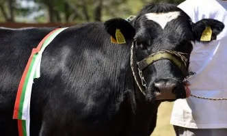 Национално изложение по животновъдство в Сливен