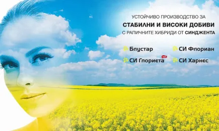 Бонус в рапица или Сигурност в рапица за 2021 година