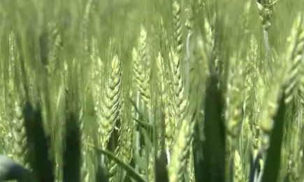 Лебозол събра земеделци на семинар в Стара Загора