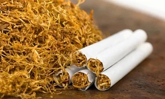 Тютюнопроизводителите ще получат 77 милиона лева за Кампания 2019