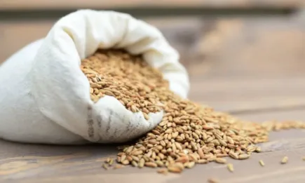 Хлебното зърно в Париж приключи седмицата с минус 2,25 евро