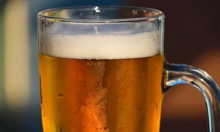 Рекорден спад на консумацията на бира в Германия