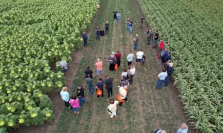 KWS отговаря на климатичните предизвикателства с усъвършенствана селекция!