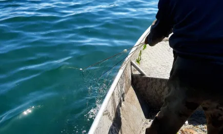 Инспектори на Рибарство и контрол Варна извадиха над 1 км. мрежи за улов на калкан