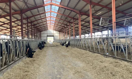 Животновъдството у нас има нужда от допълнителен финансов ресурс