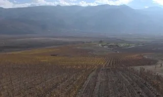 Промоционалните програми на ЕС - шанс за намирането на нови пазари на български хранителни продукти