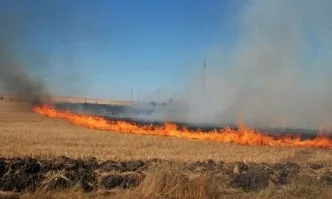 Паленето на стърнища е закононарушение и ДФЗ може да редуцира до 100 % субсидиите!