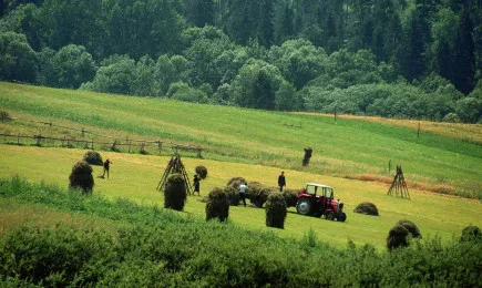 Одобрени са 1 464 проекта по подмярка 6.3 от ПРСР 2014 -2020