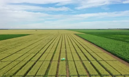 Как да получите 20 % допълнителен добив от дълго защитно действие и хармоничен, физиологичен ефект?