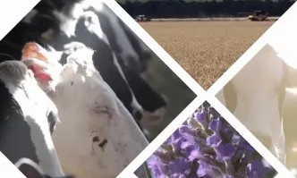 Как след 2021 г. Общата селскостопанска политика ще помага на фермерите да бъдат конкурентни