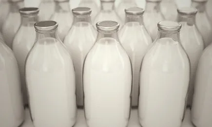 Лек ръст на международните цени на млечните продукти