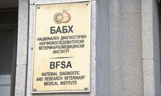 Няма салмонела в соевия шрот от Бразилия
