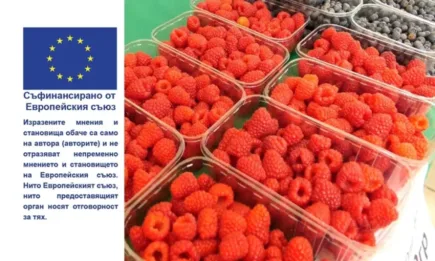 Какви промени очакват българските биопроизводители