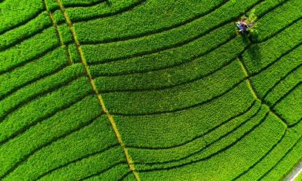 Обратната страна на медала