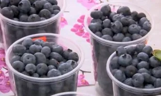 Как ОСП подкрепя производството на качествени храни