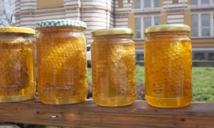 Животновъди и пчелари могат да кандидатстват за държавна помощ след природни бедствия