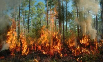 Има риск от възникване на пожари през тази седмица