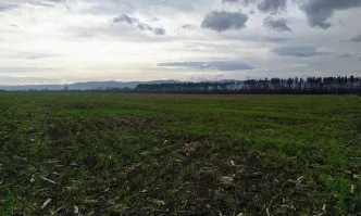 Продължава застудяването с умерен и силен вятър от север-североизток