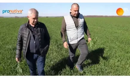 Георги Георгиев: Биостимулаторите повишават добивите с 80-100 кг на декар