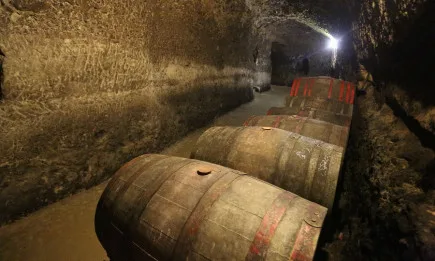 Заявления за над 17 млн. лева са подадени по мярка Кризисно съхранение на вино