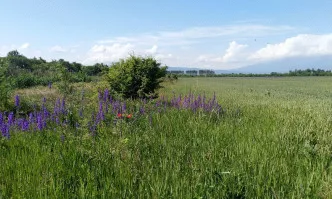 Европейската комисия иска от България да ускори прилагането на законодателството за опазване на природата