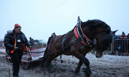 26-ти брой на Конете на България идва с ехото от Тодоровден и щастието на подковата