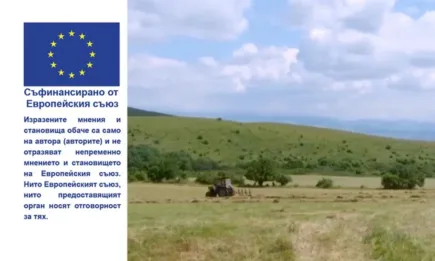 Директните плащания и новите моменти