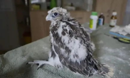 Екип по проекта