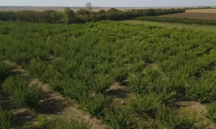 Димитричка Търпанова: Продукцията се купува от нас на 1 лв., но при търговеца се умножава по два пъти и половина – как да си купят хората?