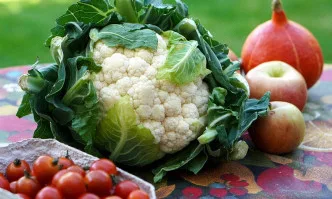 За първи път ще се предоставя обвързана подкрепа за отглеждане на плодове и зеленчуци в планински райони