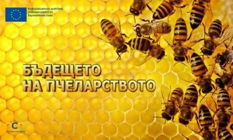 Повече средства по Пчеларската програма за периода 2020-2022 г.