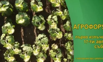 В Агрофорум ще ви покажем: Какви са световните тенденции при производството на царевица и слънчоглед