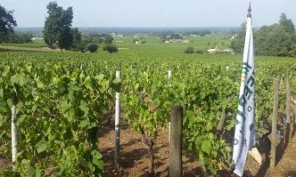 Завърши международна среща по Програма Хоризонт 2020 засягаща намаляването на пестицидите при производството на грозде, плодове и зеленчуци