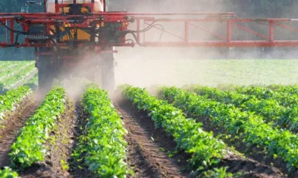 ДФЗ отпуска 2,3 млн. лева за борба с вредителите през 2021 г.